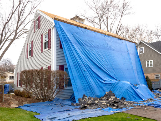 Best Residential Vinyl Siding Installation  in Mount Vernon, MD