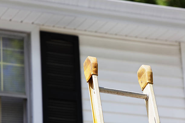 Best Siding Removal and Disposal  in Mount Vernon, MD