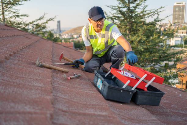 Best Historical Building Siding Restoration  in Mount Vernon, MD