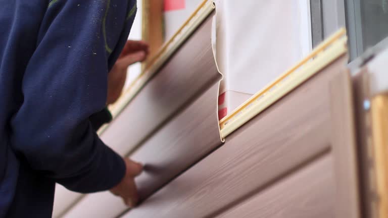 Best Custom Siding Design  in Mount Vernon, MD